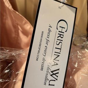 Brand new Satin Sheath Gown With Puff Sleeves blush pink Christina wu